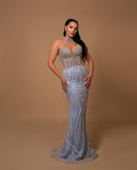 Celestial Grace Milk Blue Gown with Embroidered Stones & Neck Detail