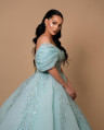 Sky Blue Long-Sleeve Wedding Gown with Embroidered Stones